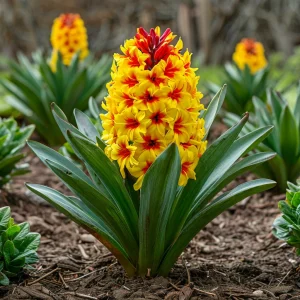 Гиацинт Скай Блюм купить по цене от 2099р. в интернет-магазине «Посадика» с доставкой почтой в в Альметьевске и по всей России – [изображение №1].